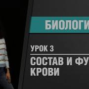 Состав и функции крови Биология ЦТ ЕГЭ