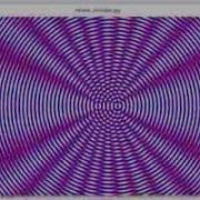 Circular Moire