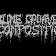 Sublime Cadaveric Decomposition MCP Apache Full Set