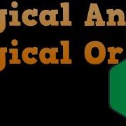 Bash Shell Scripting For Beginners Logical And Logical Or
