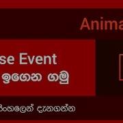 Adobe Flash Mouse Event