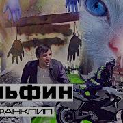 Дельфин Дилер
