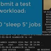 Get Started With Altair Rapid Scaling