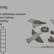 Hash Tables And Cuckoo Hashing