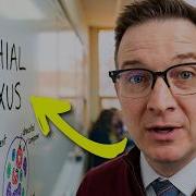 Brachial Plexus Simplified The Complete Nerve Network