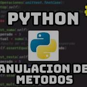 Curso Maestro De Python Anulación Del Método En Python 43