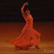 Amazing Flamenco