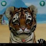 Gameplay Kinectimals Android