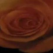 Dursun Ali Erzincanlı Sen Gel Diye