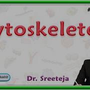 8 Cytoskeleton Microtubules Microfilaments And Intermediate Filaments Pathology USMLE Step 1