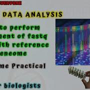 Mastering RNA Seq Step By Step Guide To Reference Genome Alignment With FASTQ Files