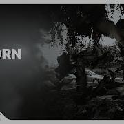 Tenebrax Reborn