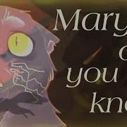 Mary Did You Know Warriors Cats