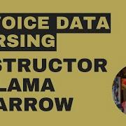 Instructor And Ollama For Invoice Data Extraction In Sparrow LLM JSON