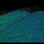 3D Terrain Flow Field Simulation 3D Wind Field