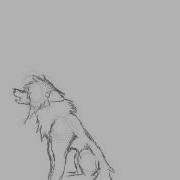 Animation Test Wolf Howling