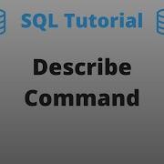 Display Structure Of A Table Using Describe Command SQL Basics Tutorial Part 4