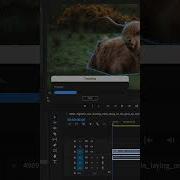 Auto Motion Tracker For Objects 1 2 0 Update
