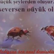 Don Dolaw Yine Bana Gel