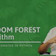 Random Forest Algorithm Random Forest Explained Random Forest In Machine Learning Python