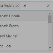 Multiselect Dropdown In Angular With Search Filter