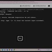 GCP Project Create Database With Google Cloud SQL Access It From VM Query Data Using SQL Commands
