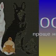 Самый простой и короткий гайд по ООП