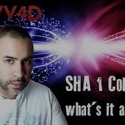 SHA1 Collision What S It All About