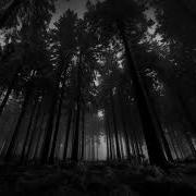 Raw Hypnotic And Dark Techno Set