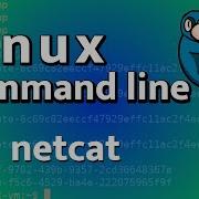 LCL 24 руководство по Netcat руководство по командной строке Linux для криминалистики