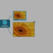 Add Images To Your SimpleMind Mind Map