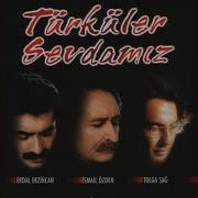 Oğul