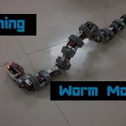 Snake Robot Worm Turning