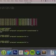 Bootstrap 3 Tutorial 93 Radio Buttons