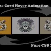 CSS Card Hover Animation 3D Pure CSS Tutorials Web Tutorials