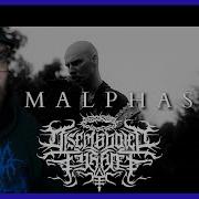 DAS IST DIE DEATHCORE NEWCOMER BAND DER LETZTEN JAHRE DISEMBODIED TYRANT MALPHASIAN REACTION