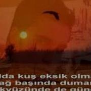 Cankan Sende Mi Son çakal