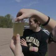 Phtyoplankton In A Cup