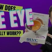 How Does The Eye Work Basic Anatomy Of The Eyeball And Visual System