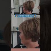 SHORT PIXIE BOB Complete Tutorial Linked Below