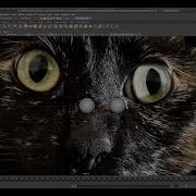 Maya 101 Tutorial Part 1 Project Set Up Navigation