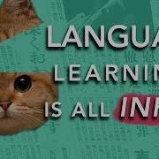 How To Learn A Language INPUT Why Most Methods Don T Work
