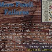 Cambrian Explosion And Other Fossil Facts Evolution Myth Creation Evidence Series Session 11
