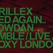 Skrillex Fred Again Flowdan Rumble Official Music Video