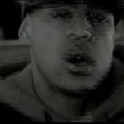 BOOBA Pitbull