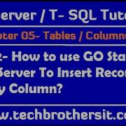Use GO Statement In SQL Server To Insert Records In Identity Column SQL Server Tutorial Part 42