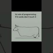 1st Rule Of Programming If It Works Don T Touch It Funny Meme Codewithfarhaan Codingmemes