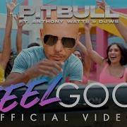 Pitbull Ft Anthony Watts DJWS I Feel Good Official Video