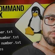 Mastering The Sort Command In Linux A Comprehensive Guide