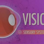 Vision Crash Course Anatomy Physiology 18
